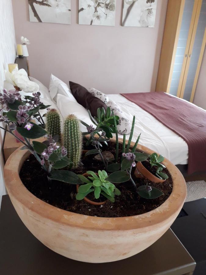Leut Apartment Корчула Экстерьер фото
